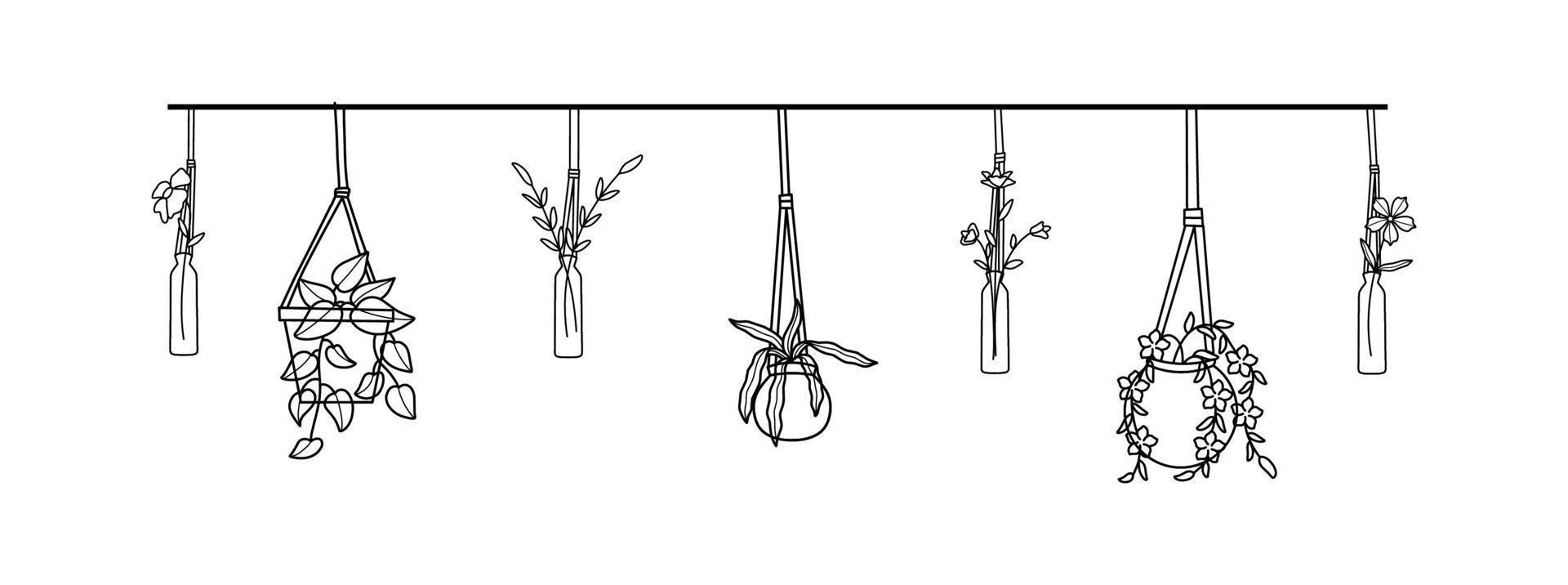 Set of Hand-drawn Hanging Plants Design vector