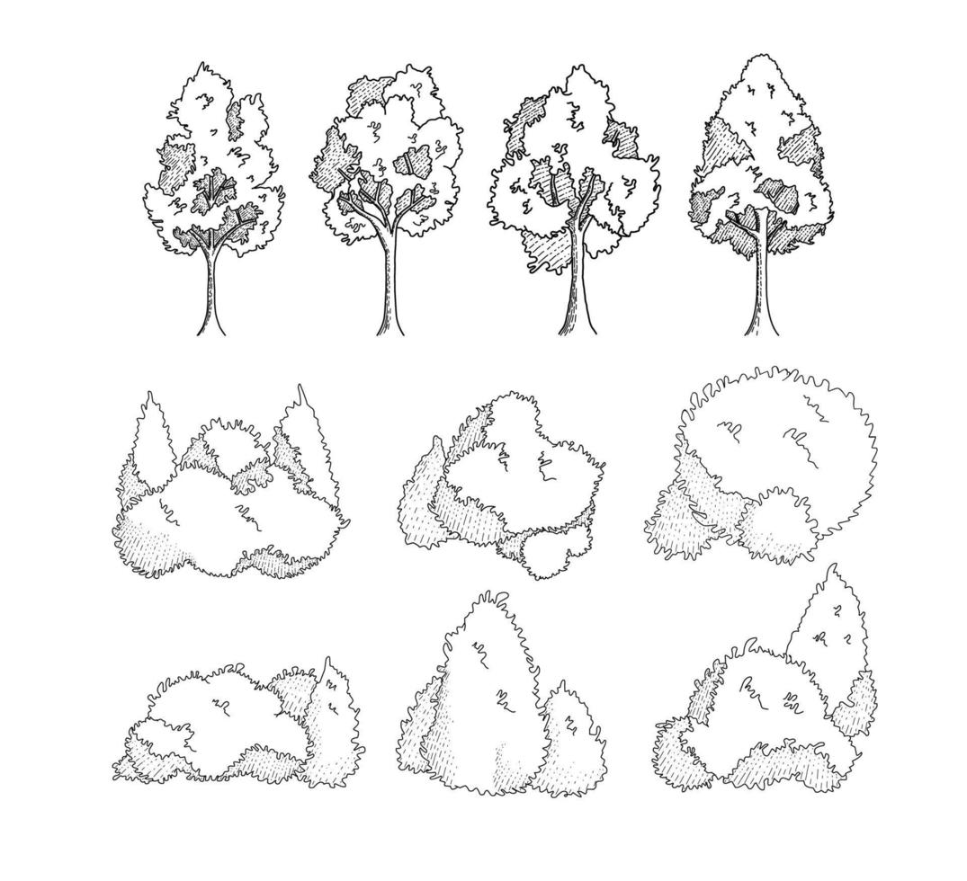 Hand-drawn Tree and bushes architect Black and white vector