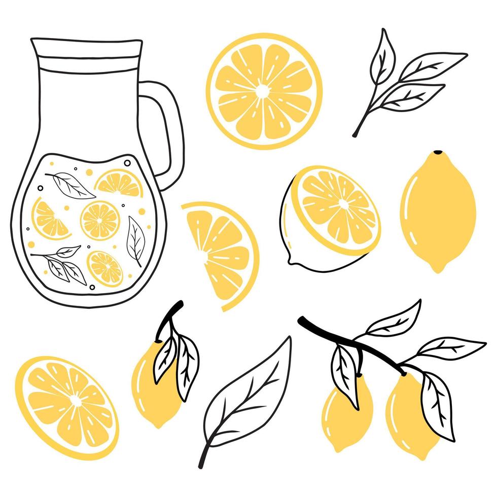 Set of lemons in doodle style. Collection of lemons on a branch, a slice of a lemon, half a lemon. Vector illustration.