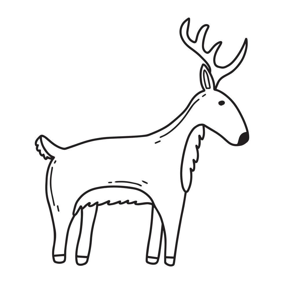Childrens illustration of reindeer isolated on white white background. Cute hand drawn reindeer in doodle style. Vector illustration