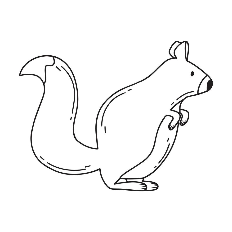 Childrens illustration of a cute squirrel isolated on a white background. Forest squirrel hand drawn with doodle style. Vector illustration