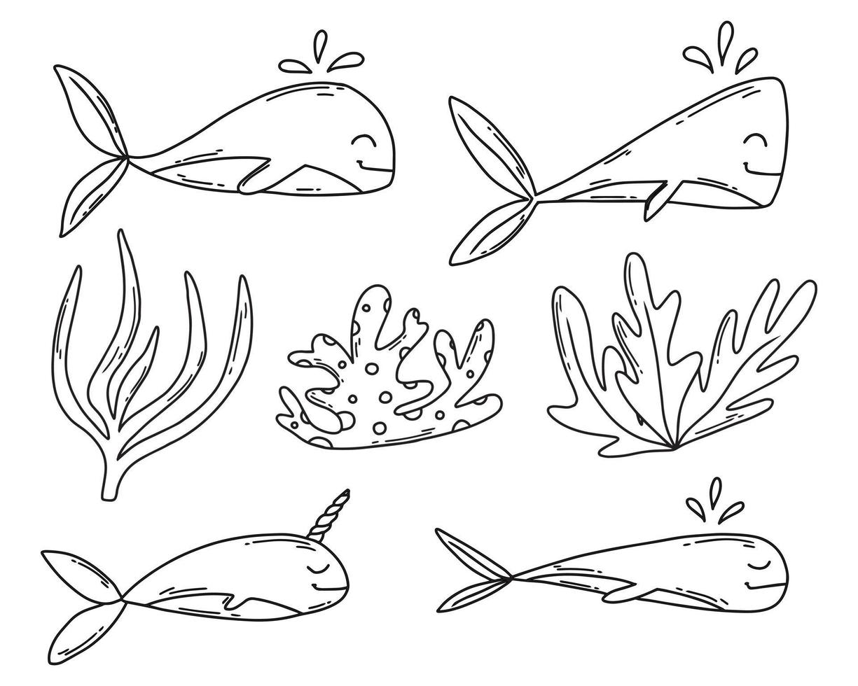 lindo juego de ballenas de garabatos. ballenas y algas. ilustración vectorial vector