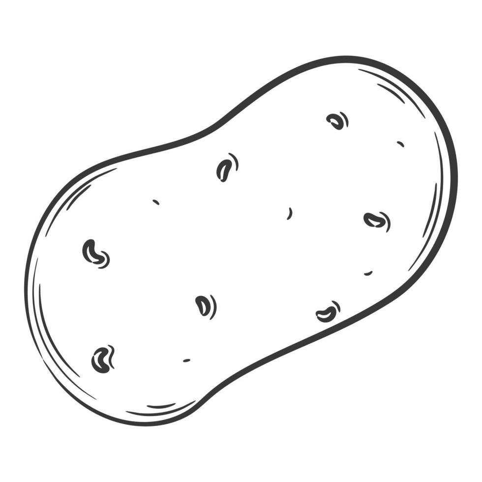 Whole potatoes. A vegetable in a linear style, drawn by hand. Food ingredient, design element.Lineart. Black and white vector illustration. Isolated on a white background