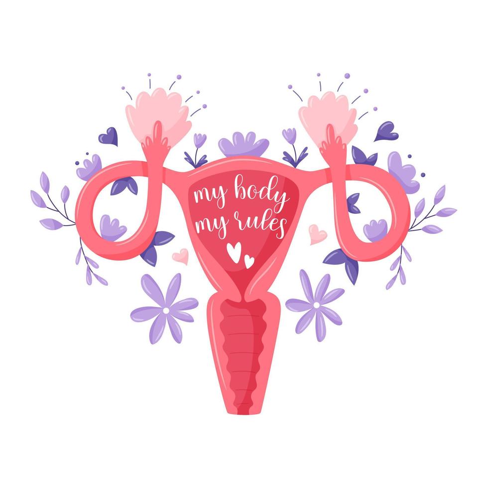 cita de letras feministas. Mi cuerpo mis reglas. sistema reproductor femenino con flores y plantas. tipografía feminista. cuerpo de útero abstracto con trompas de Falopio y ovarios. ilustración vectorial vector