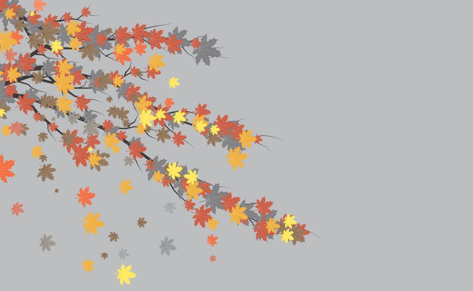 Maple leaves fall down vector