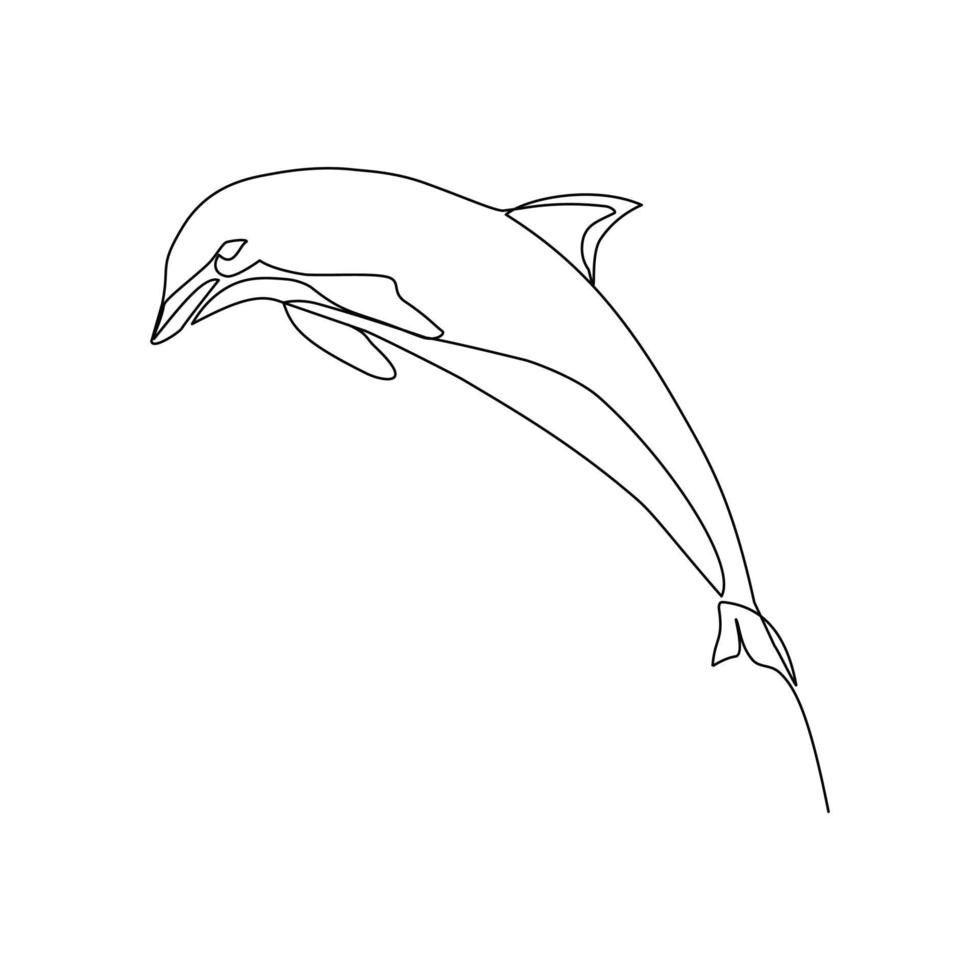 Dolphin vector illustration drawn in line art style