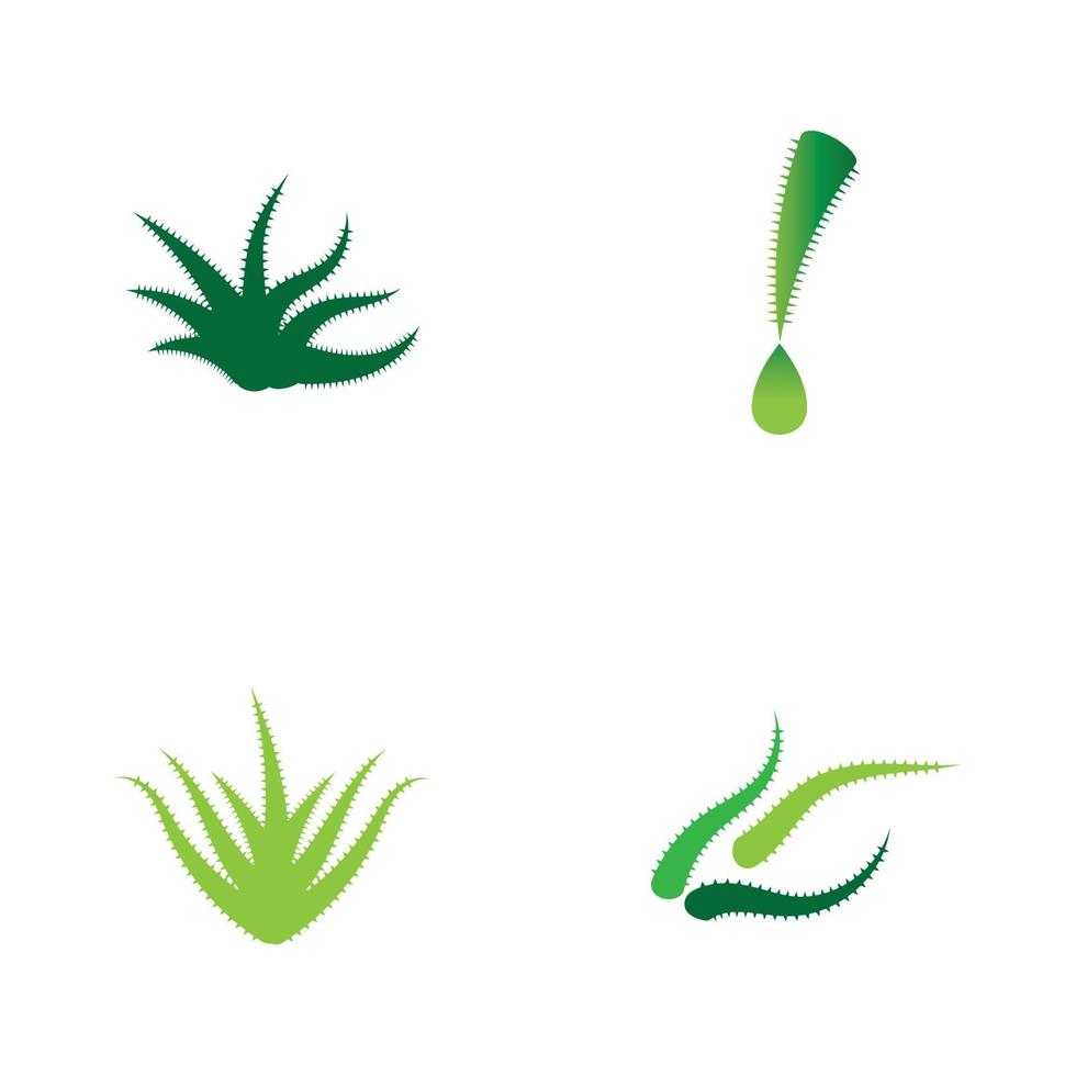 Aloe vera logo vector ilustration template