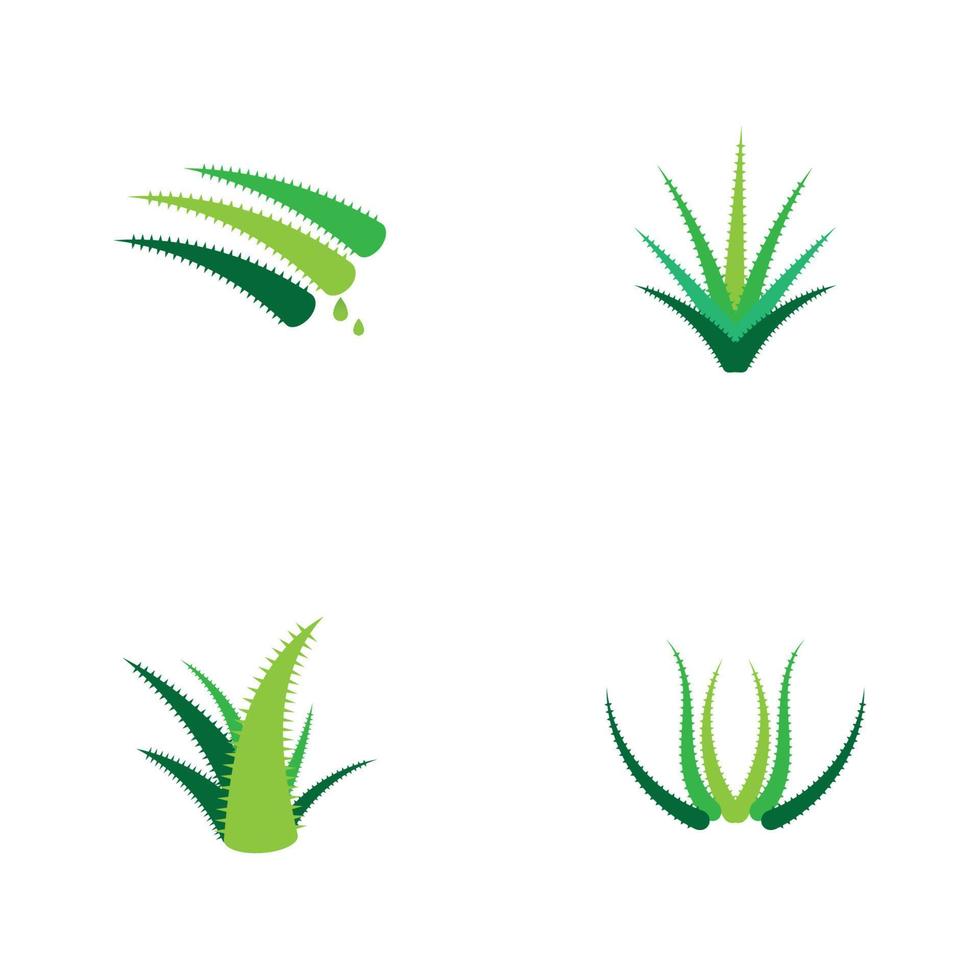 Aloe vera logo vector ilustration template