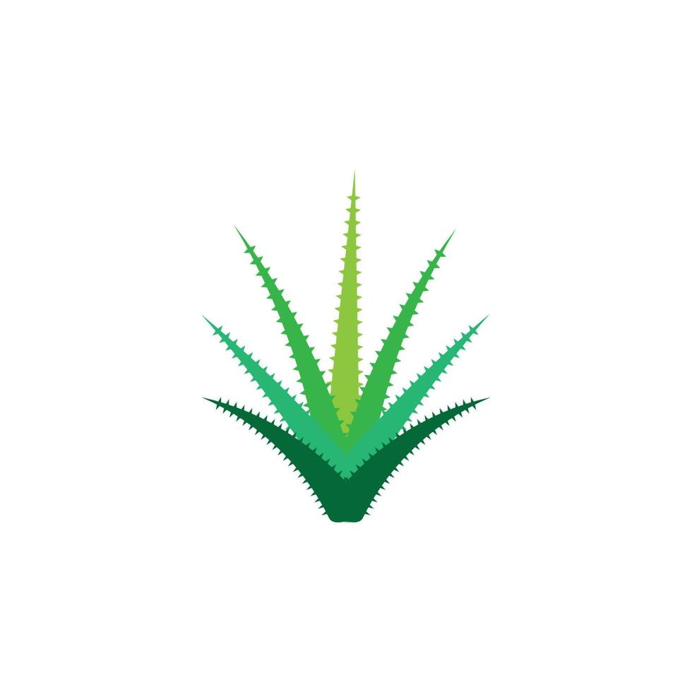 Aloe vera logo vector ilustration template