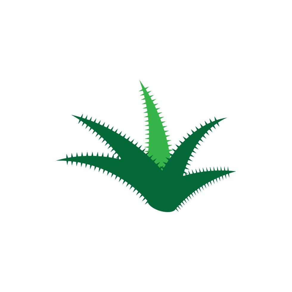 plantilla de ilustración de vector de logotipo de aloe vera