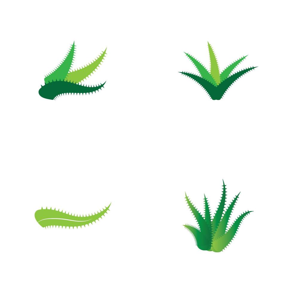 Aloe vera logo vector ilustration template