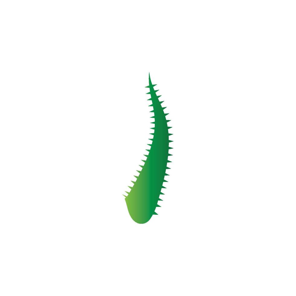 Aloe vera logo vector ilustration template