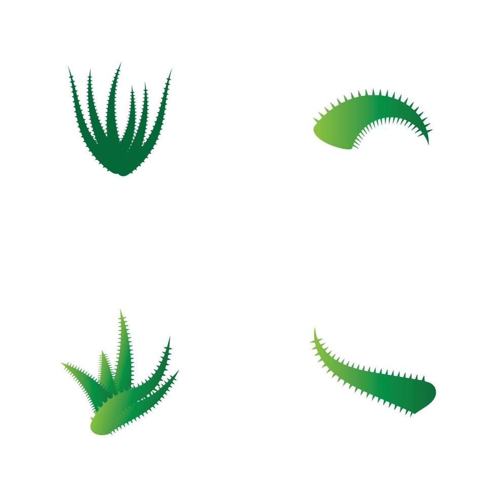 Aloe vera logo vector ilustration template