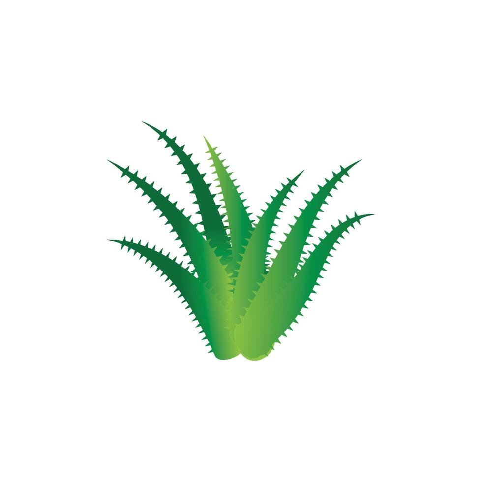 plantilla de ilustración de vector de logotipo de aloe vera