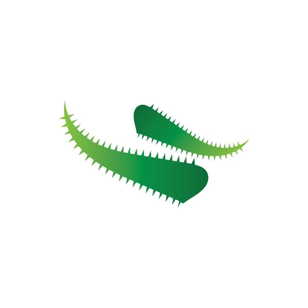 Aloe vera logo vector ilustration template