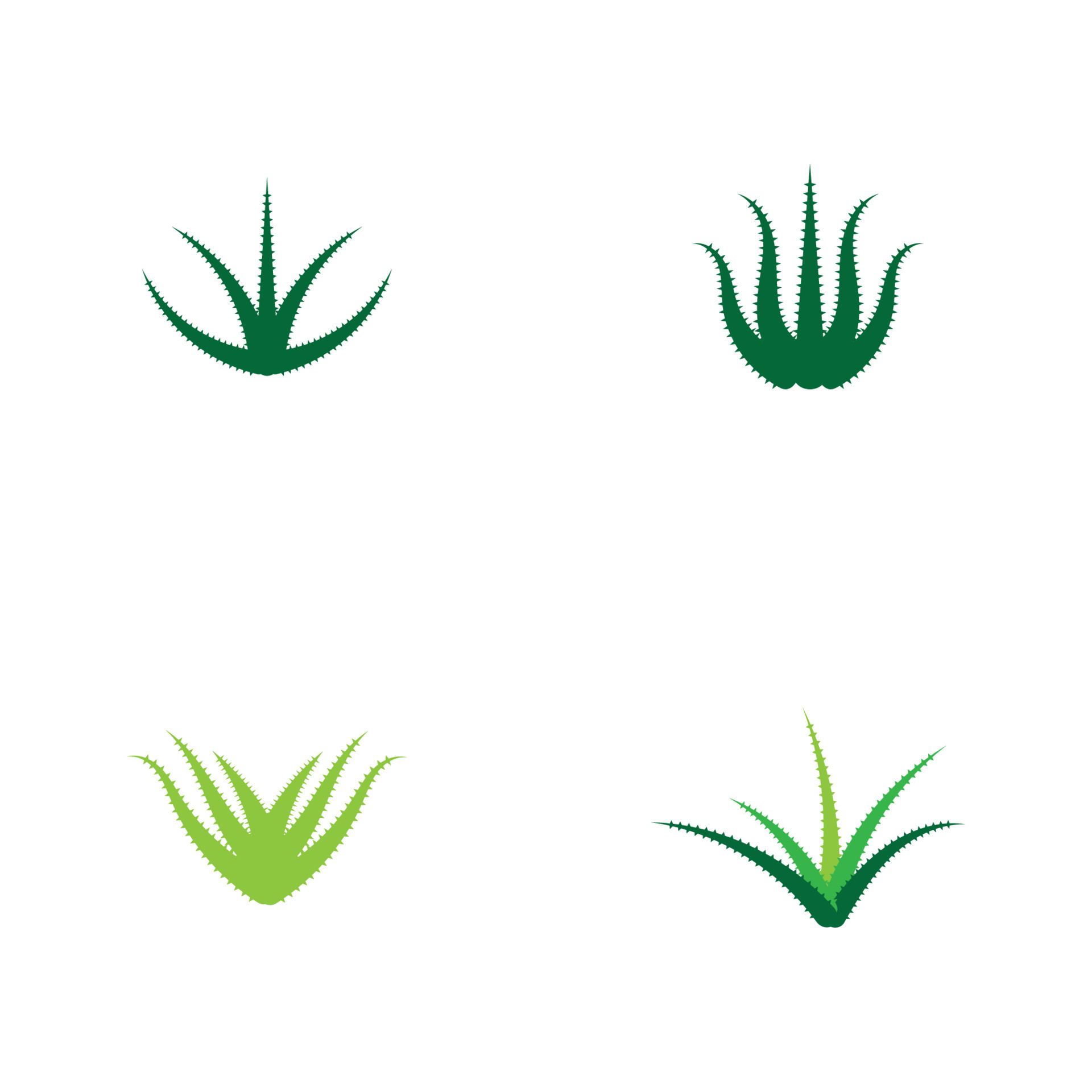 Aloe vera logo vector ilustration template 9843622 Vector Art at Vecteezy