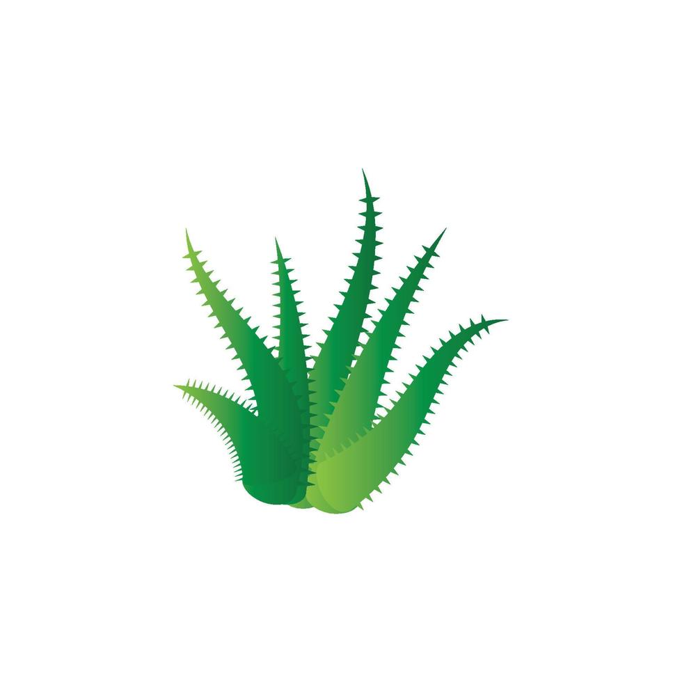 Aloe vera logo vector ilustration template