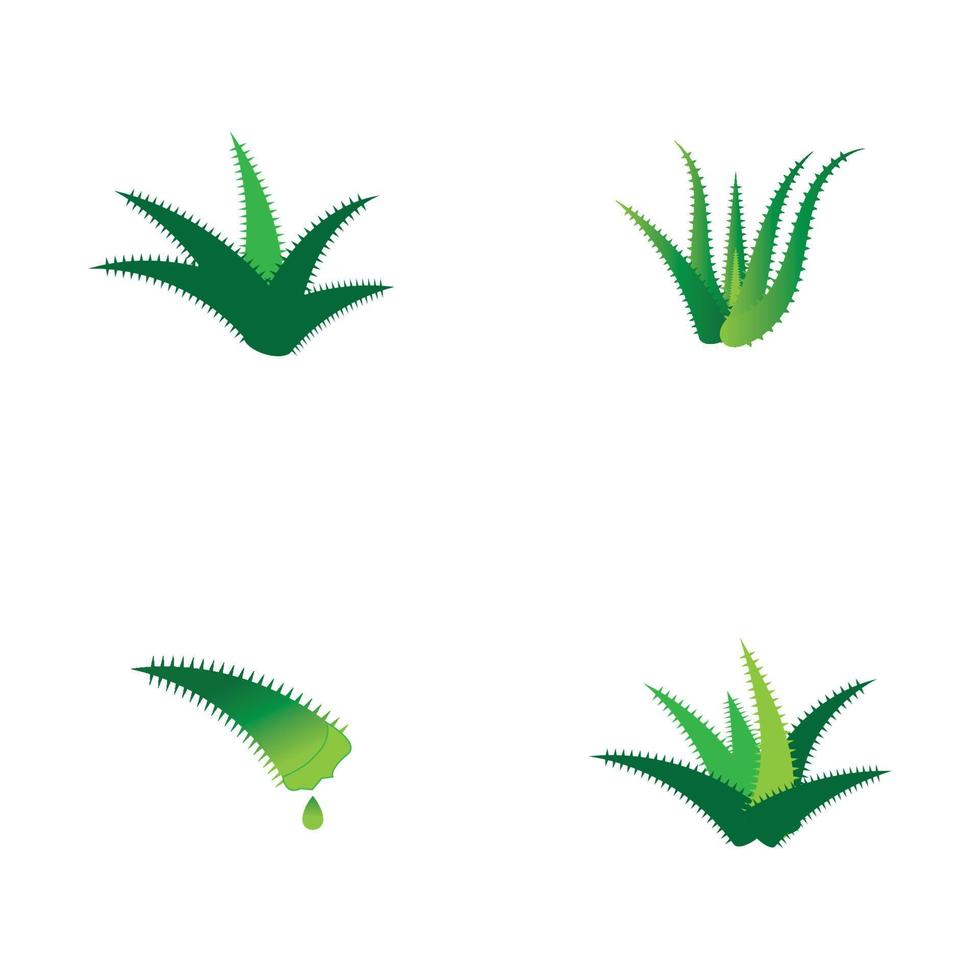 plantilla de ilustración de vector de logotipo de aloe vera