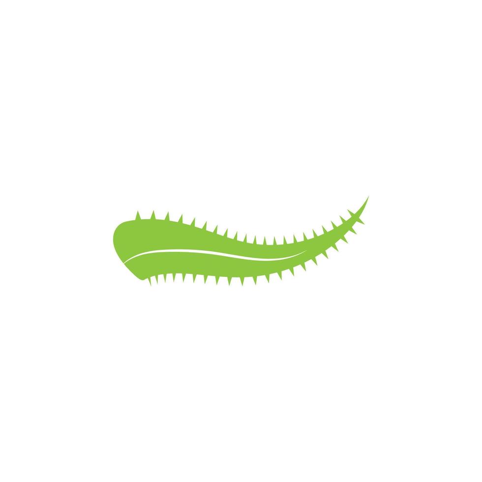 Aloe vera logo vector ilustration template