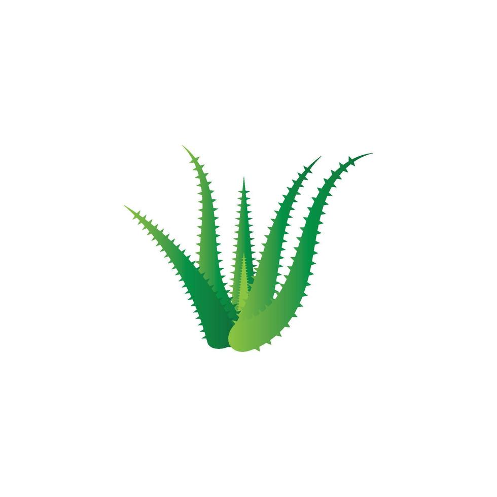 plantilla de ilustración de vector de logotipo de aloe vera