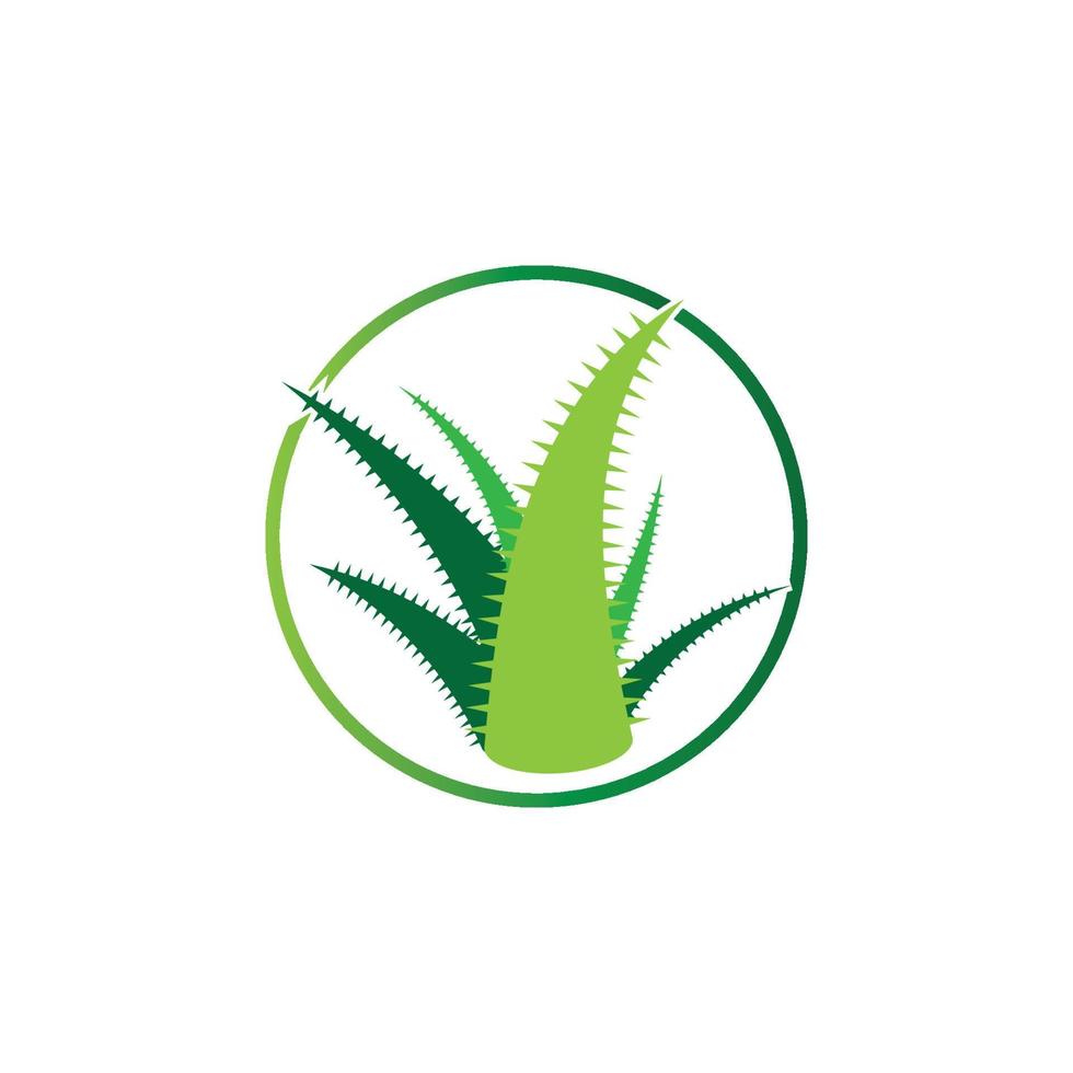 Aloe vera logo vector ilustration template