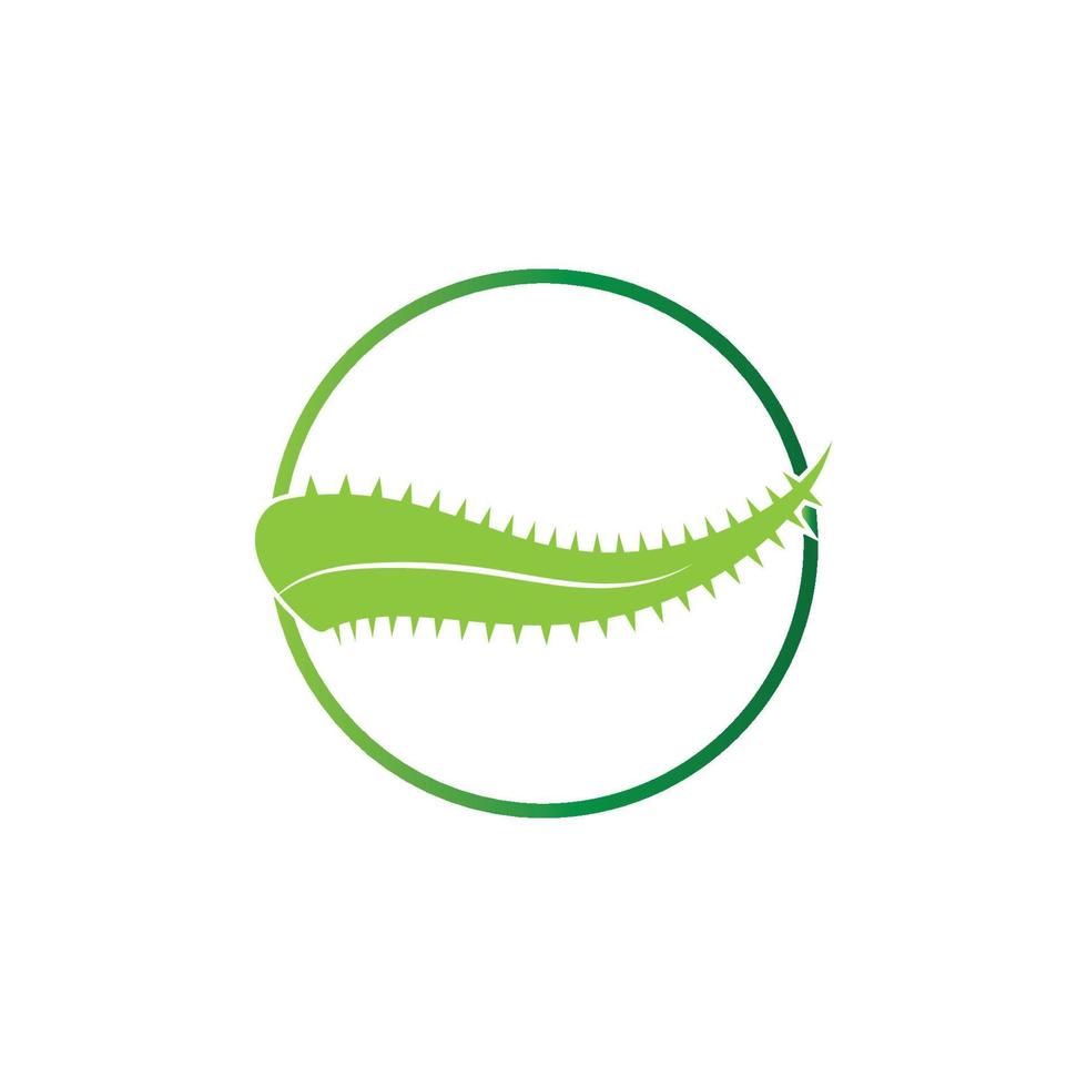 Aloe vera logo vector ilustration template