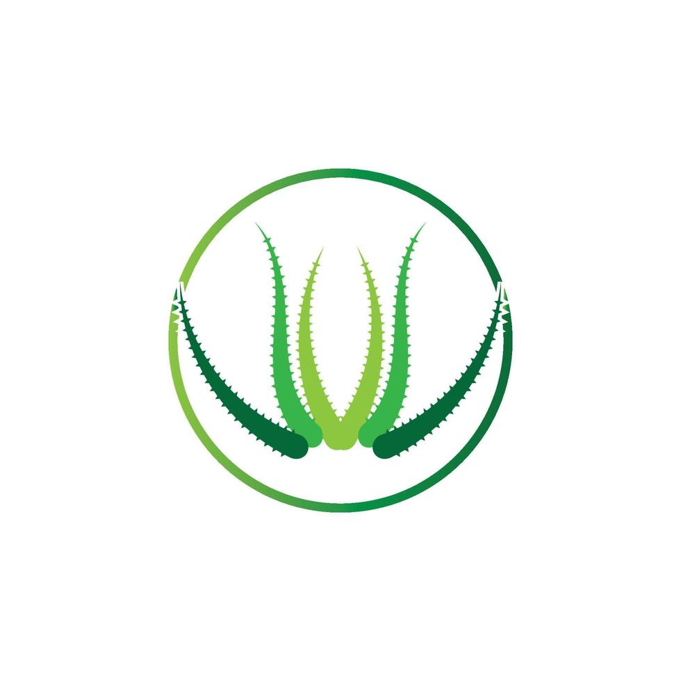 Aloe vera logo vector ilustration template