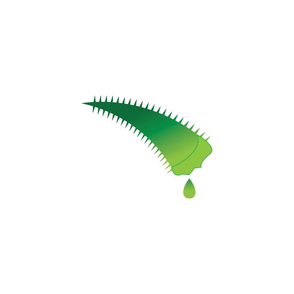 plantilla de ilustración de vector de logotipo de aloe vera