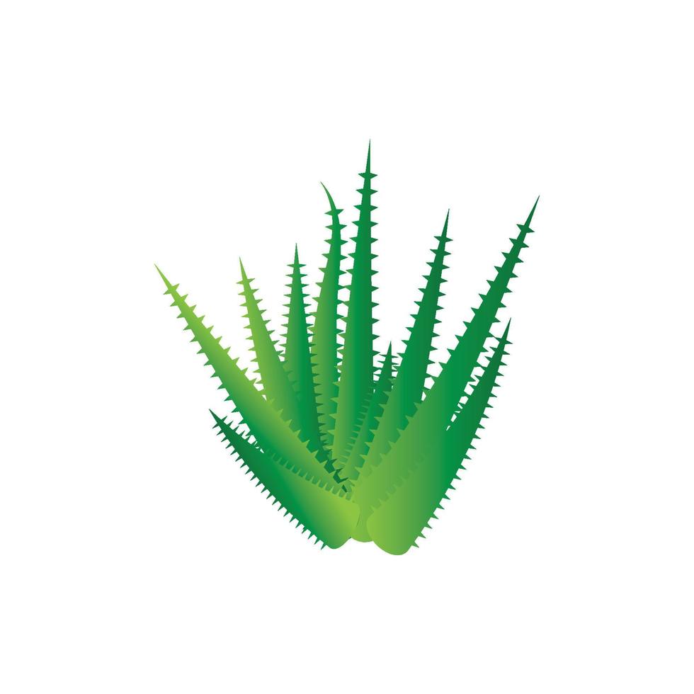 plantilla de ilustración de vector de logotipo de aloe vera