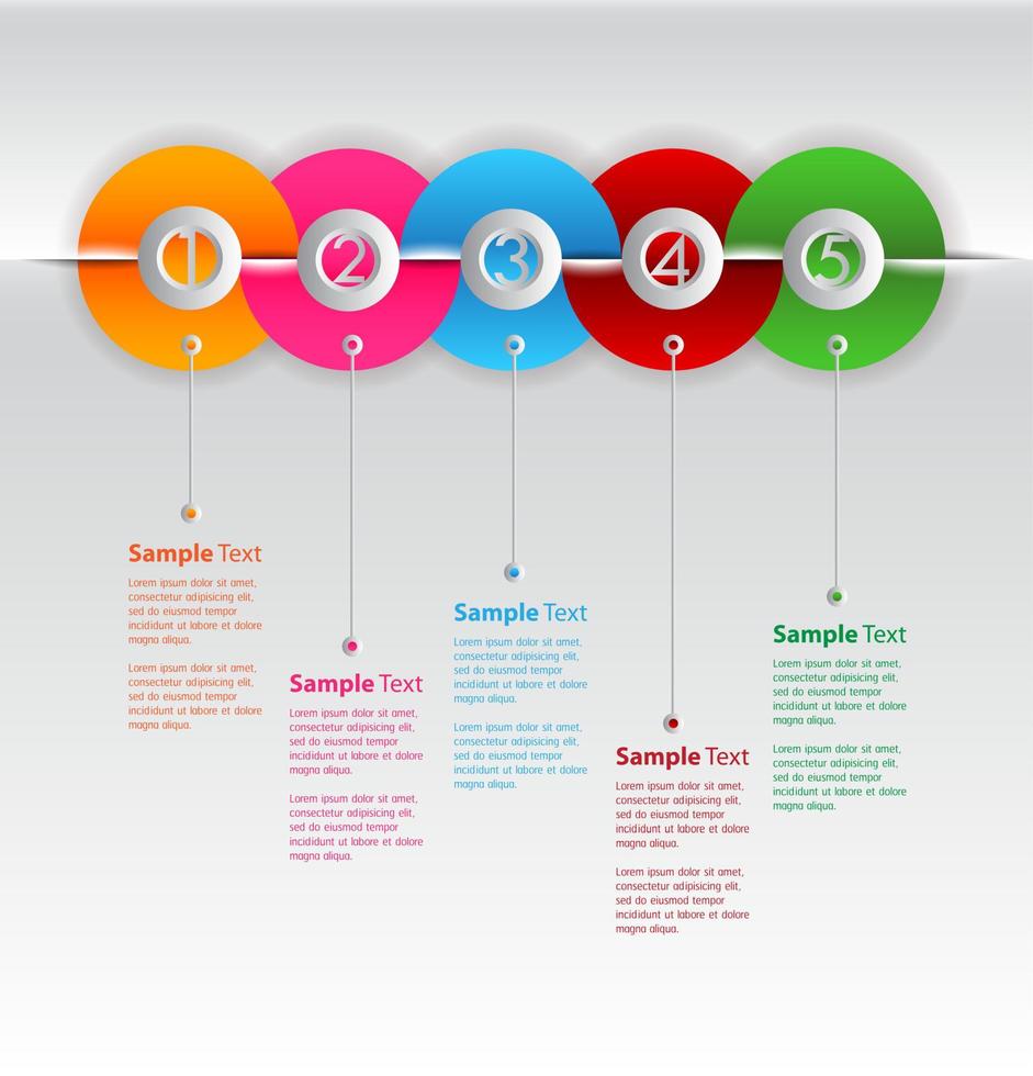 colorida infografía de 5 pasos vector