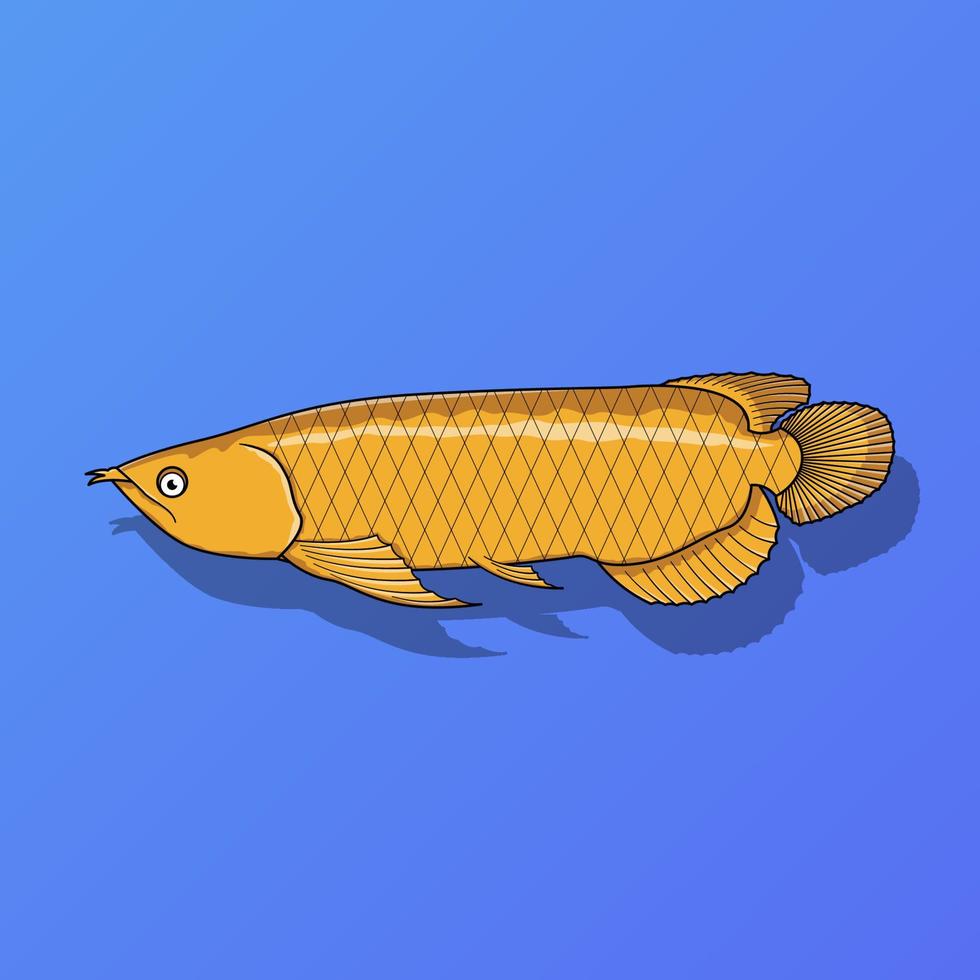 Golden arowana fish vector illustration