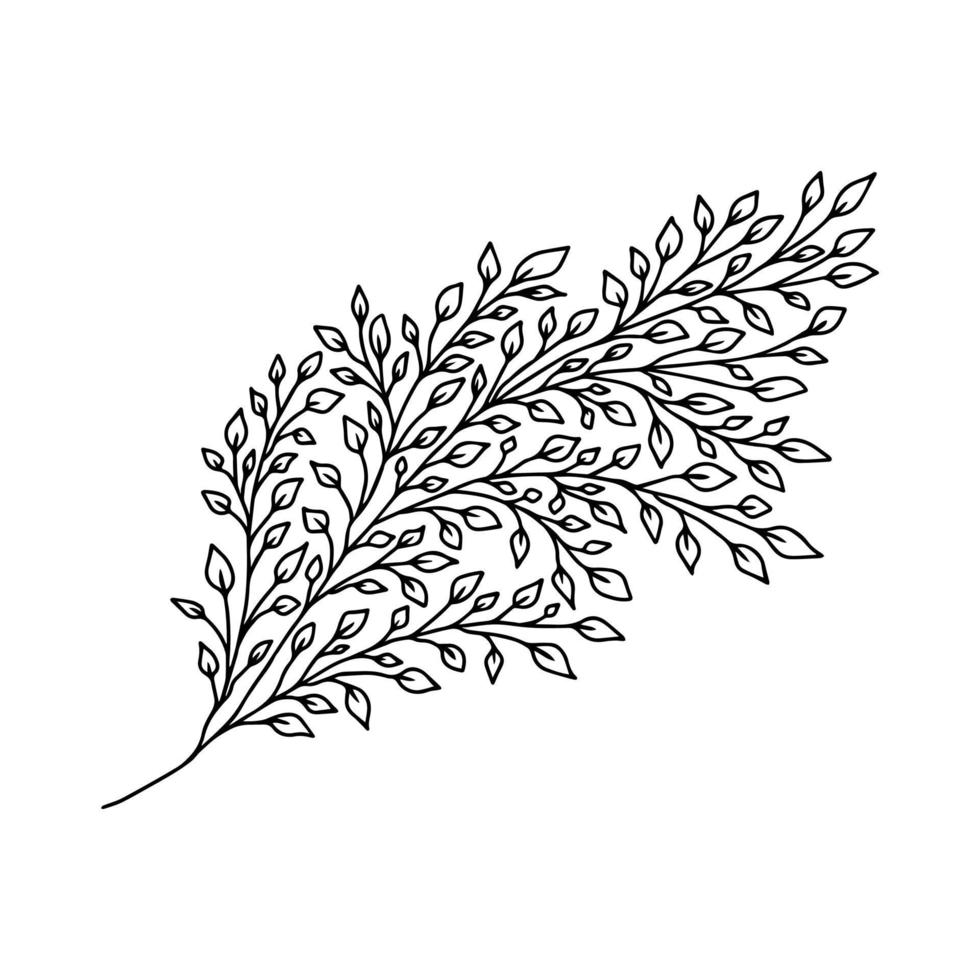 Hand drawn Stem with Leaves, Twig and Grass in doodle style. Tree Art Design. Isolated black on white elements for design vector