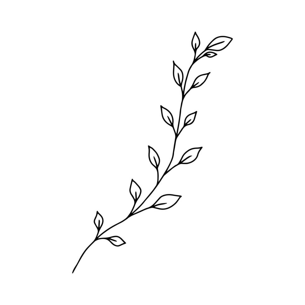 Hand drawn Stem with Leaves, Twig and Grass in doodle style. Tree Art Design. Isolated black on white elements for design vector