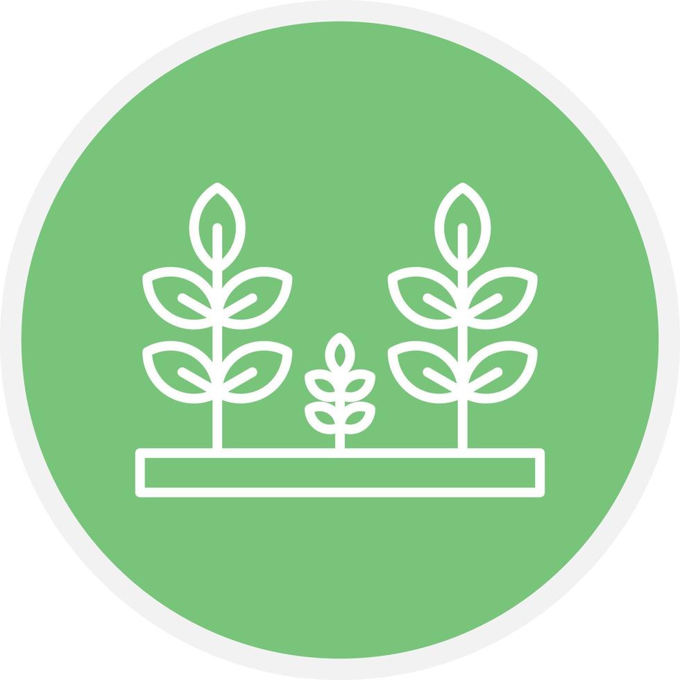 Plantation Line Circle vector