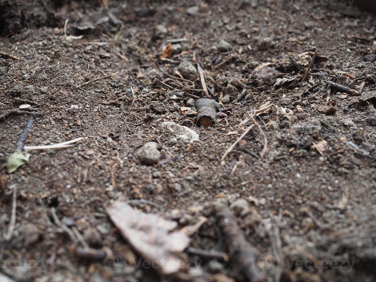 brown earth texture background, selective focus photo