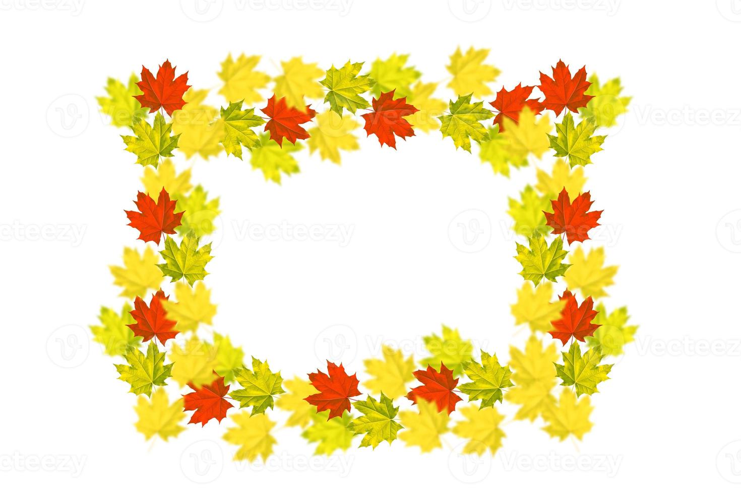Bright colorful autumn leaves photo