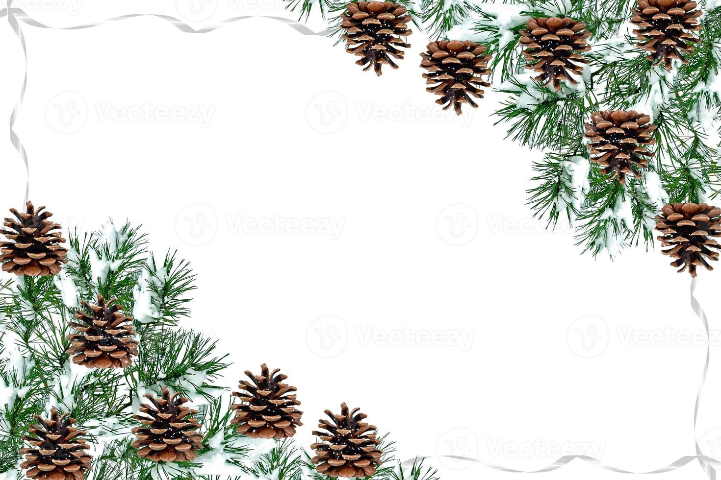 The branches of the snow covered tree Christmas tree photo