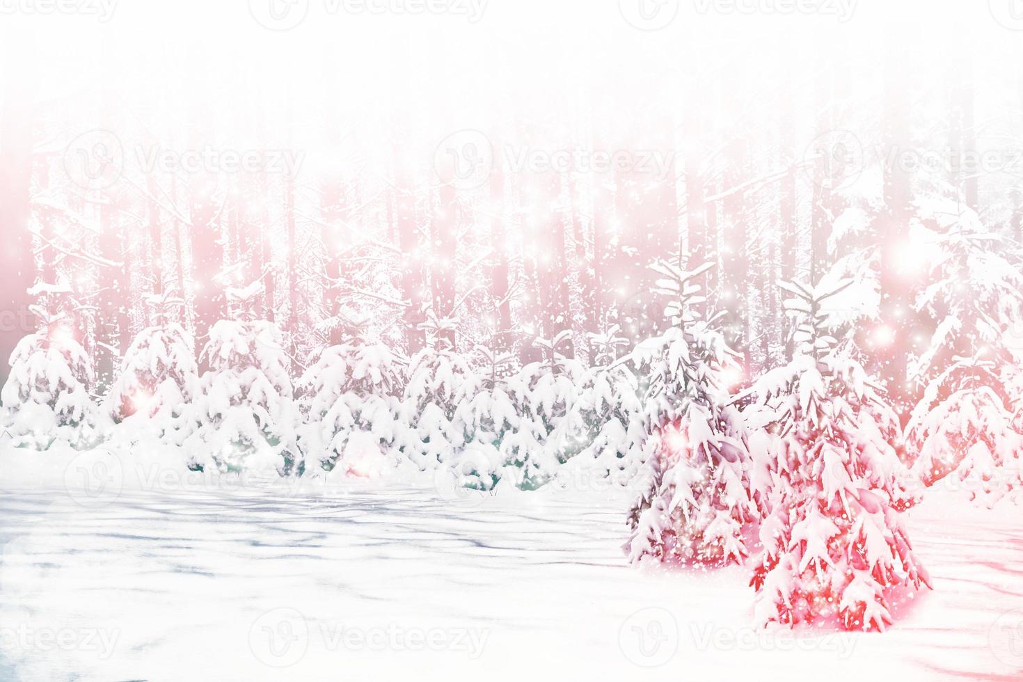 Blurred background. winter forest with snow covered trees. photo