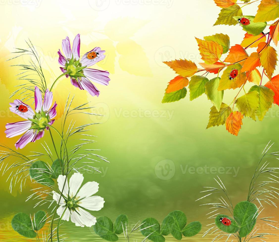 bright colorful flowers and foliage on a background of the summer landscape. photo