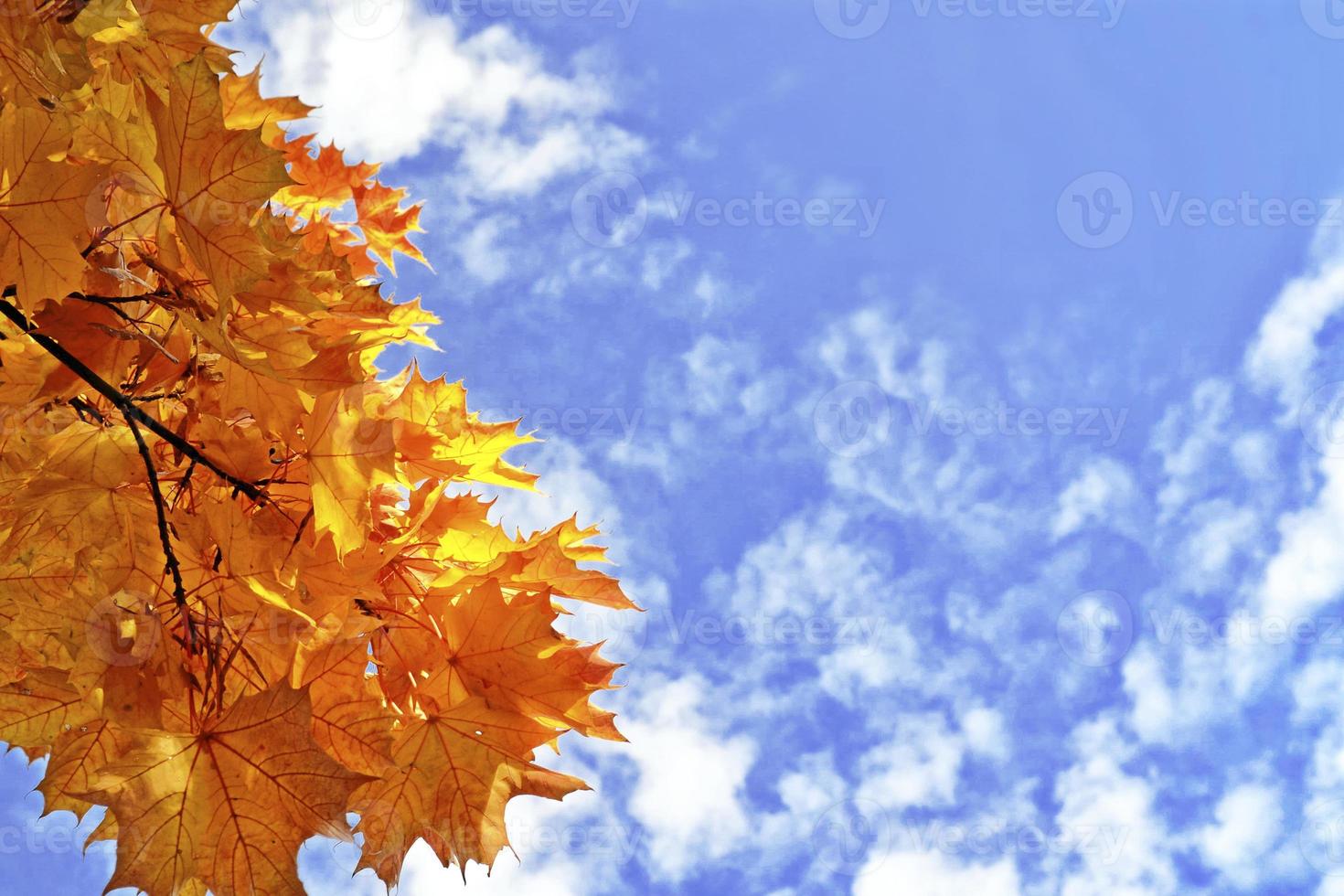 autumn landscape with bright colorful foliage. Indian summer. photo