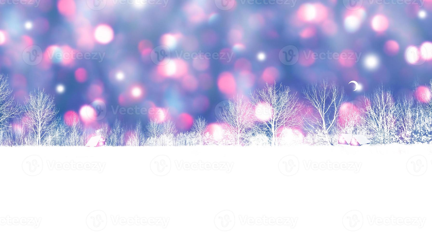 Frozen winter forest with snow covered trees. photo