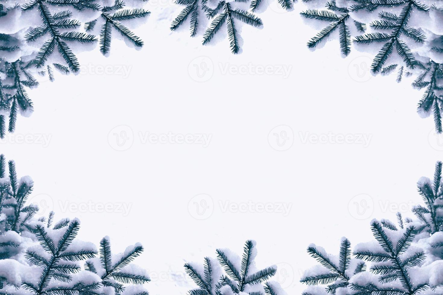 Frozen winter forest with snow covered trees. photo