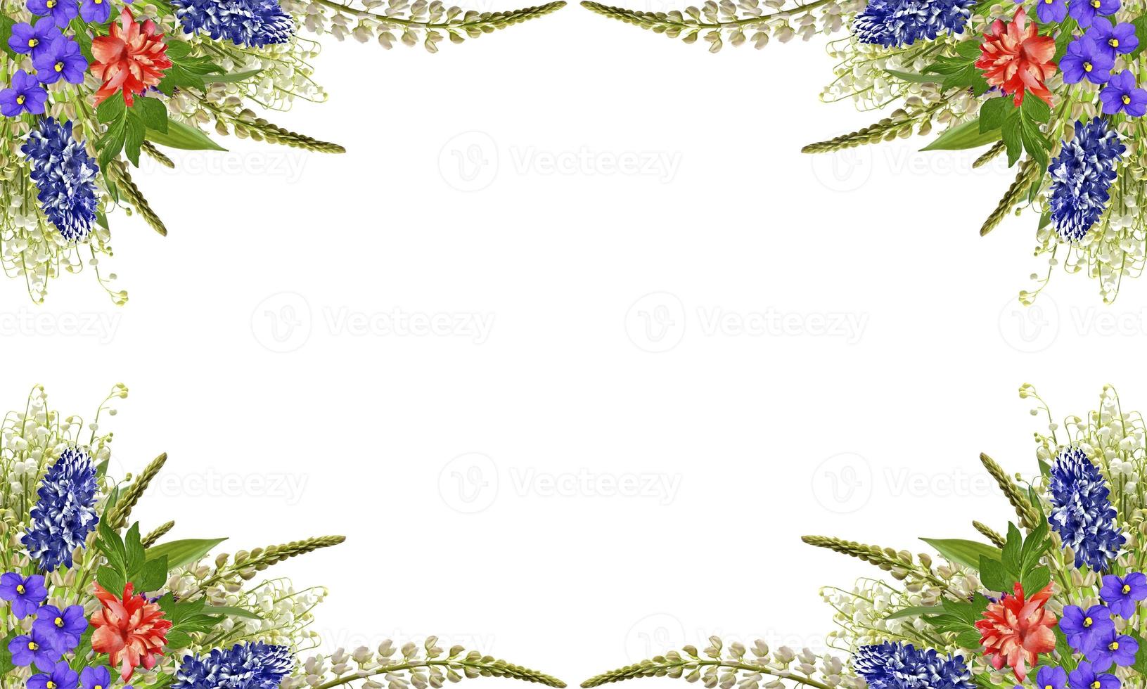 lupines beautiful flowers on a white background photo