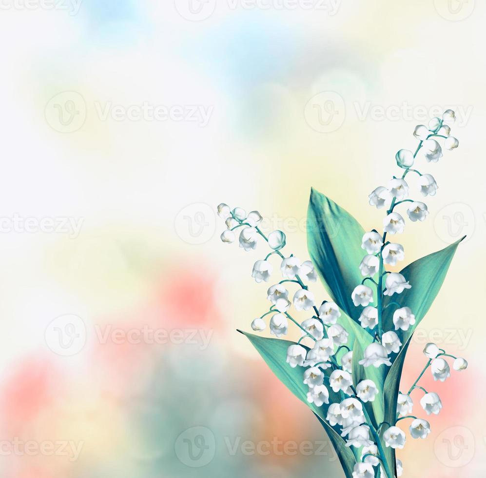 flowers lily of the valley photo