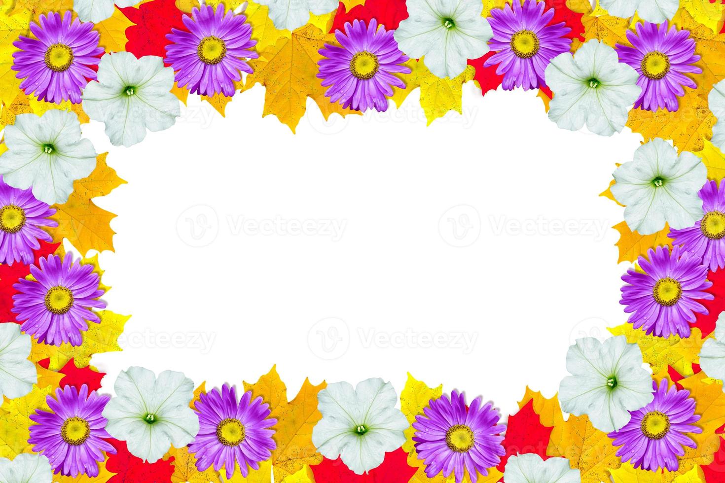 Flowers and autumn foliage isolated on white background. photo