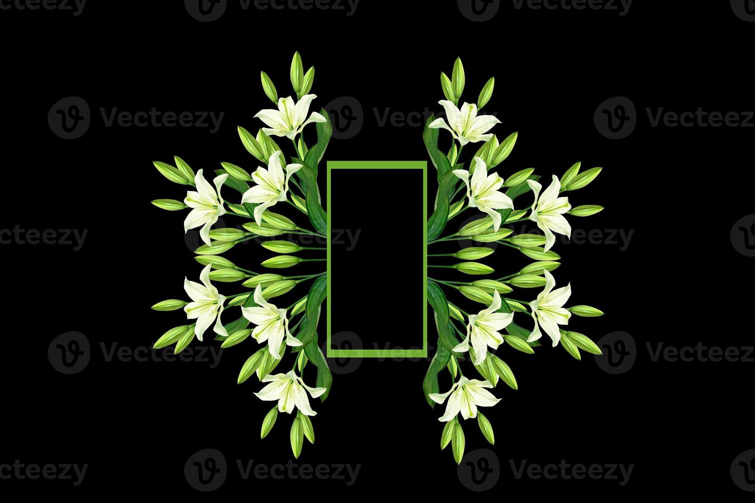 Flower lily isolated on black background. summer photo