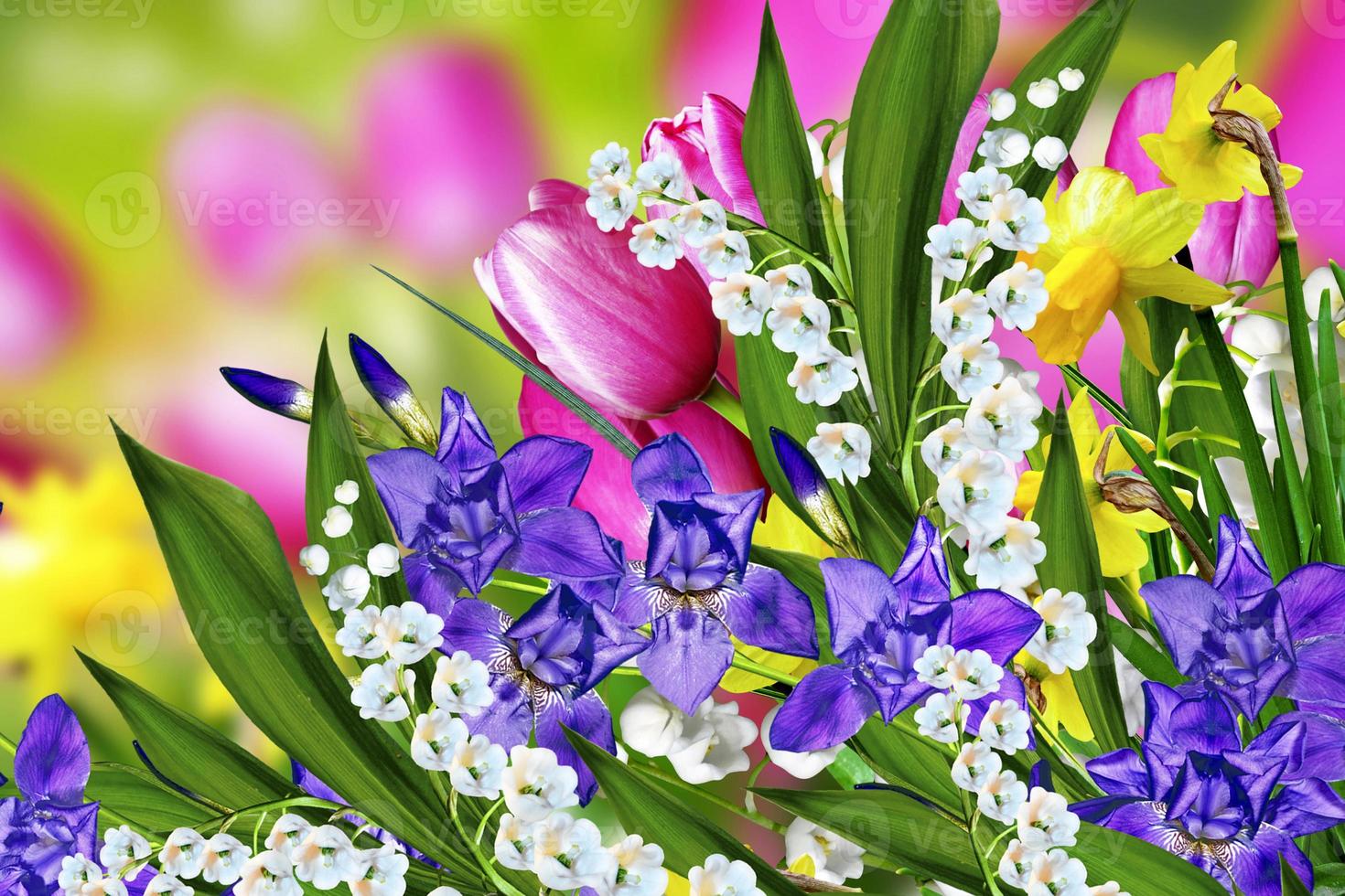 Spring flowers tulips and lilies of the valley 9847965 Stock Photo at