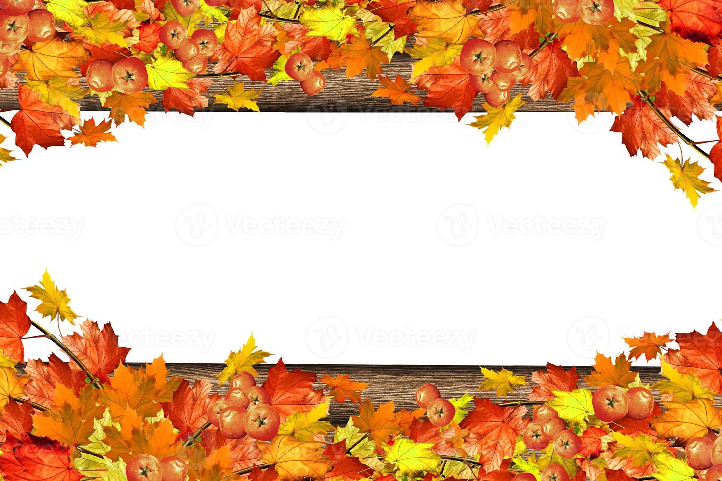 abstract background of autumn leaves photo