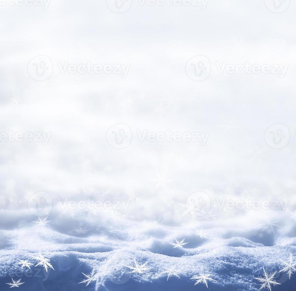 Background. Winter landscape. The texture of the snow photo