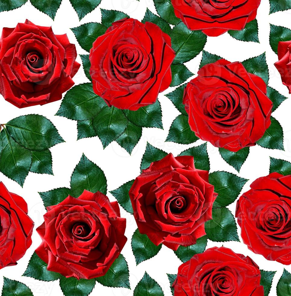 background of flowers roses photo